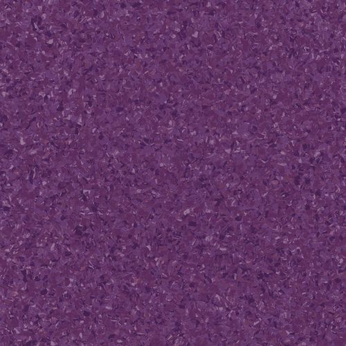 紫藤