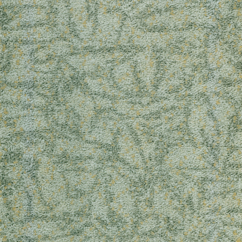 地毯纹4